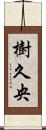 樹久央 Scroll