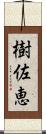 樹佐恵 Scroll