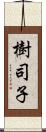 樹司子 Scroll