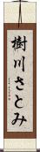 樹川さとみ Scroll