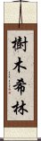 樹木希林 Scroll