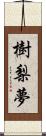 樹梨夢 Scroll