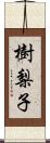 樹梨子 Scroll