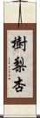 樹梨杏 Scroll