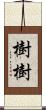 樹樹 Scroll