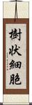 樹状細胞 Scroll