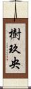 樹玖央 Scroll