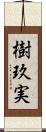 樹玖実 Scroll