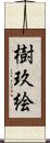 樹玖絵 Scroll