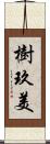 樹玖美 Scroll