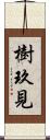 樹玖見 Scroll