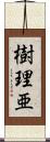 樹理亜 Scroll