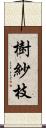 樹紗枝 Scroll