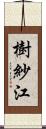 樹紗江 Scroll