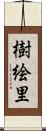 樹絵里 Scroll