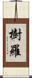 樹羅 Scroll