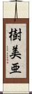 樹美亜 Scroll