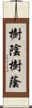 樹陰 Scroll