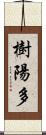 樹陽多 Scroll