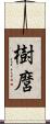 樹麿 Scroll