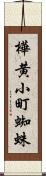 樺黄小町蜘蛛 Scroll