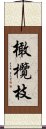 橄欖枝 Scroll