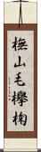 橅 Scroll
