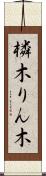 橉木 Scroll