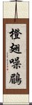 橙翅噪鶥 Scroll