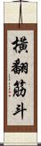橫翻筋斗 Scroll