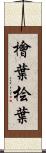 檜葉 Scroll