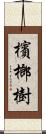 檳榔樹 Scroll