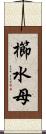 櫛水母 Scroll