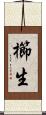 櫛生 Scroll