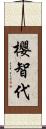 櫻智代 Scroll