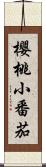 櫻桃小番茄 Scroll