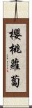 櫻桃蘿蔔 Scroll