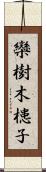 欒樹 Scroll