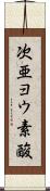 次亜ヨウ素酸 Scroll