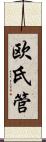 欧氏管 Scroll