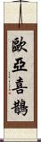 歐亞喜鵲 Scroll