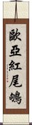 歐亞紅尾鴝 Scroll