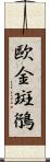 歐金斑鴴 Scroll