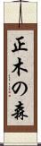 正木の森 Scroll