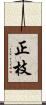 正枝 Scroll