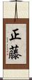 正藤 Scroll