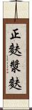 正麩 Scroll