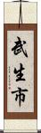 武生市 Scroll
