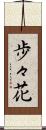 歩々花 Scroll