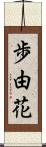 歩由花 Scroll
